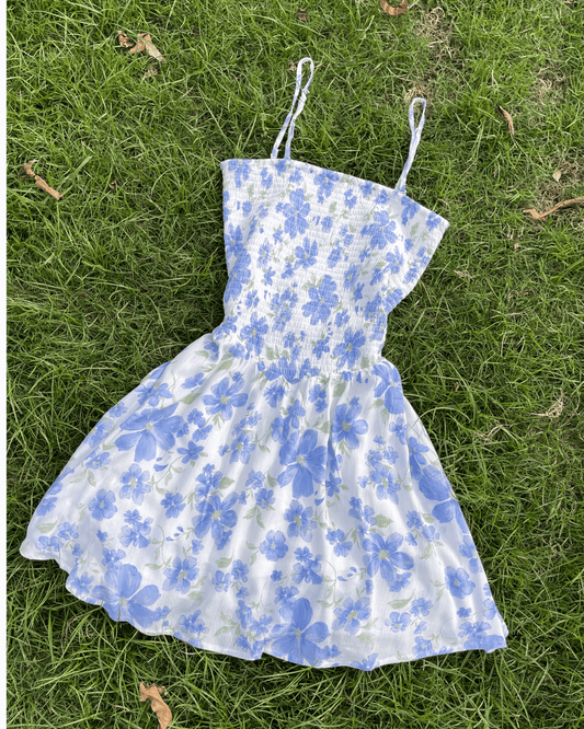 Wildflower Sky Dress (S)