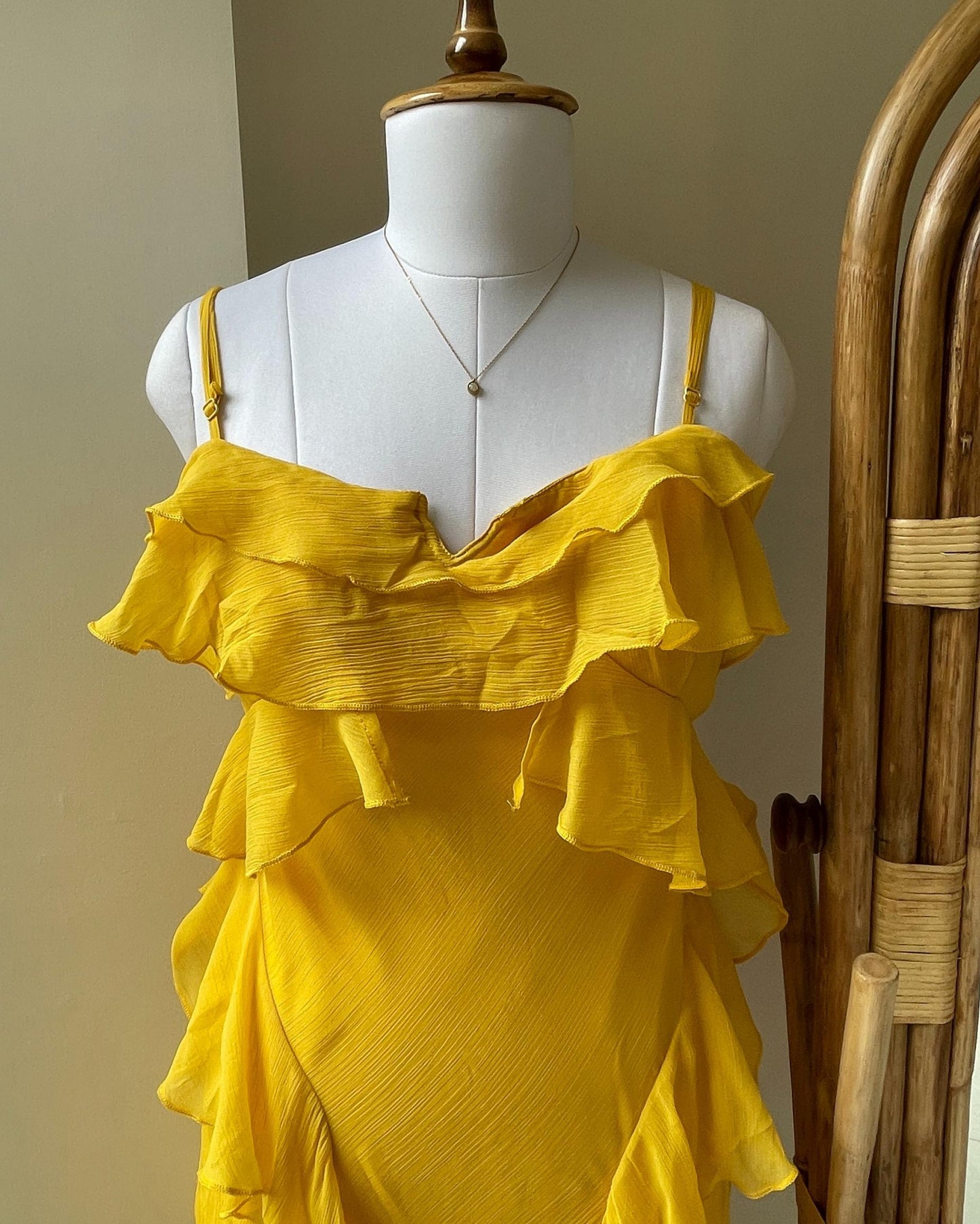 Sunbeam Dress (XXL)