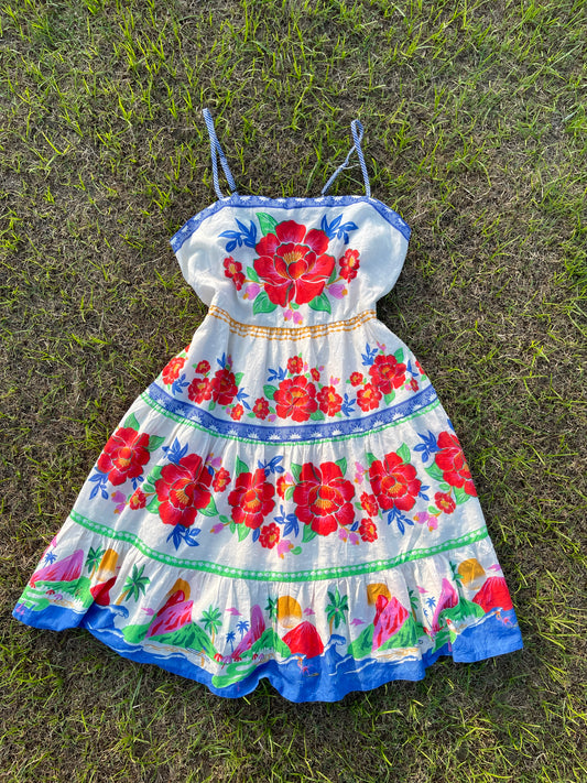 Fiesta Flora Dress(X,S,M & L)